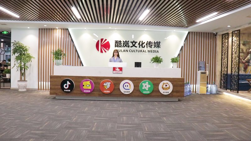 TVC广告片定制：揭秘定制厂家的选择之道